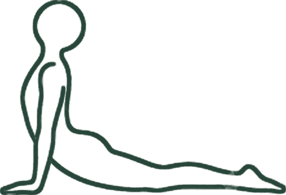 코브라 자세 (Cobra) 일러스트