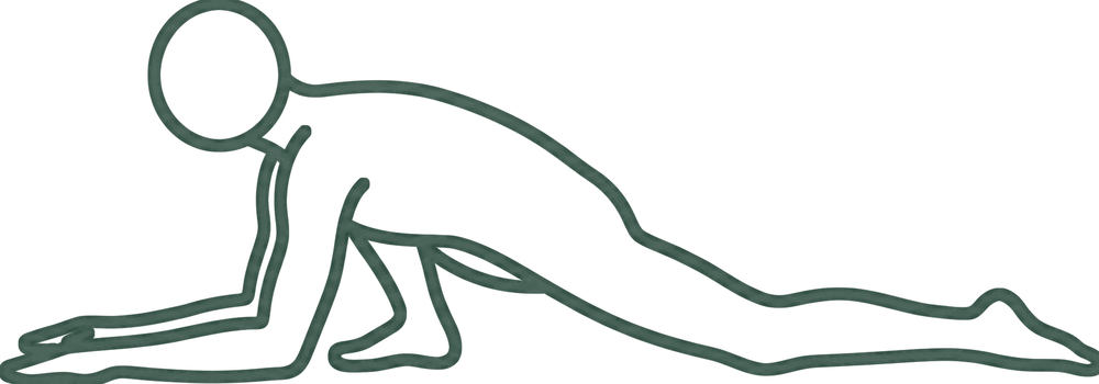 도마뱀 자세 (Lizard Pose) 일러스트