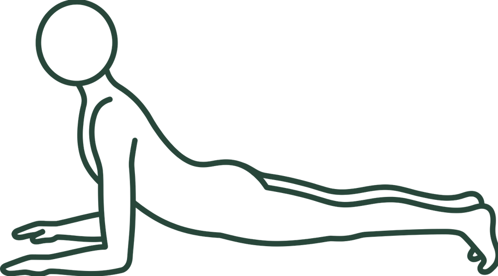 스핑크스 자세 (Sphinx) 일러스트