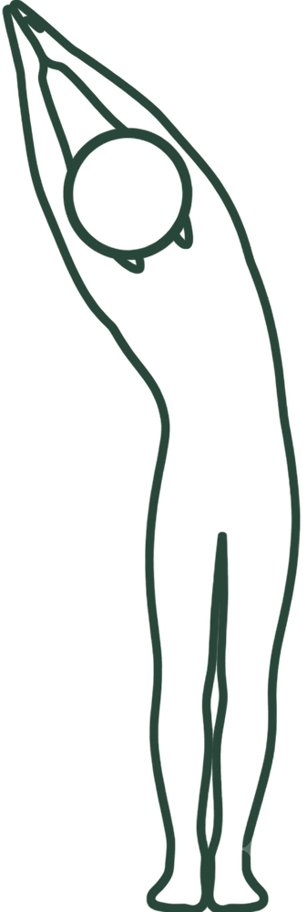 선 측굴 (Standing Side Bend) 일러스트