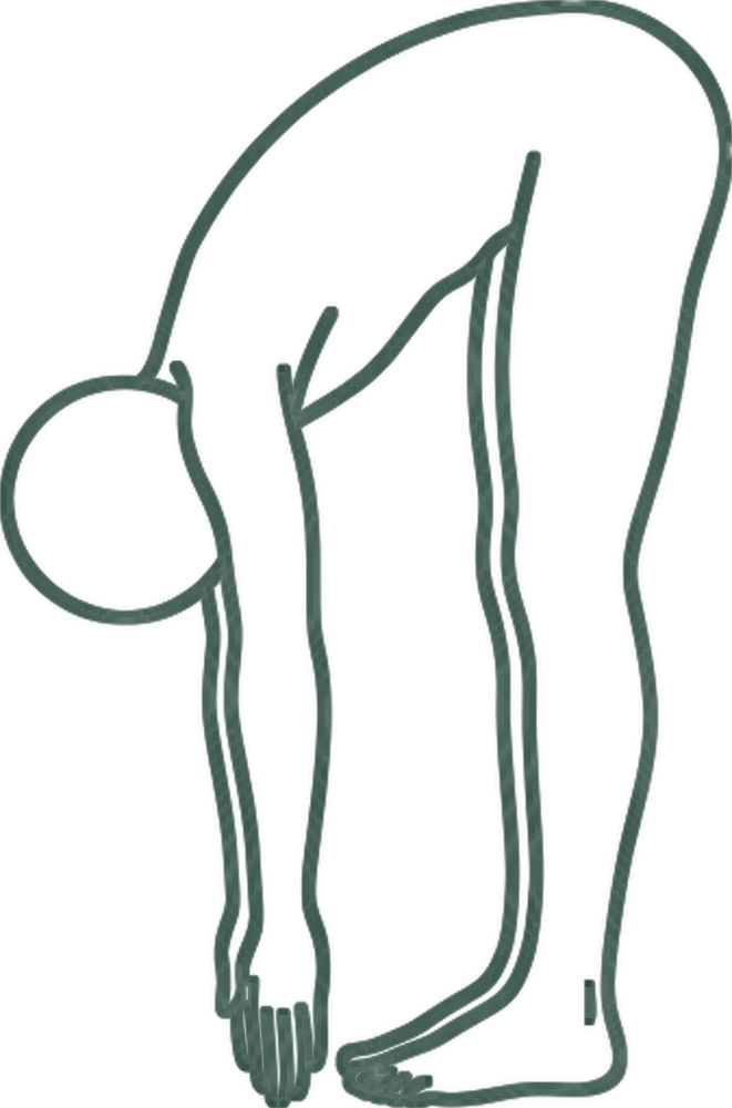 선 전굴 (Standing Forward Fold) 일러스트